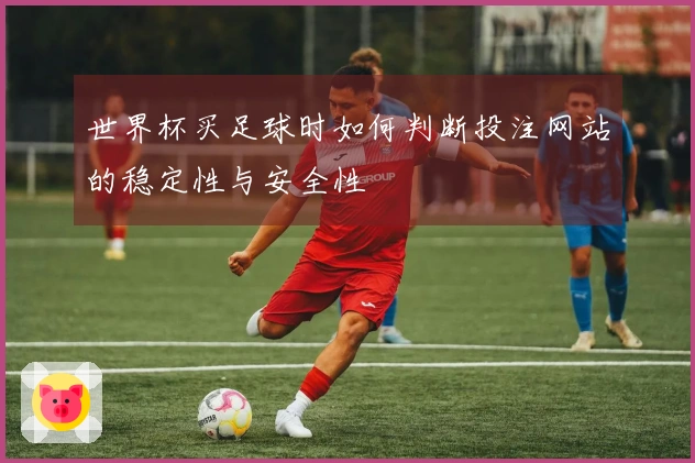 世界杯买足球时如何判断投注网站的稳定性与安全性