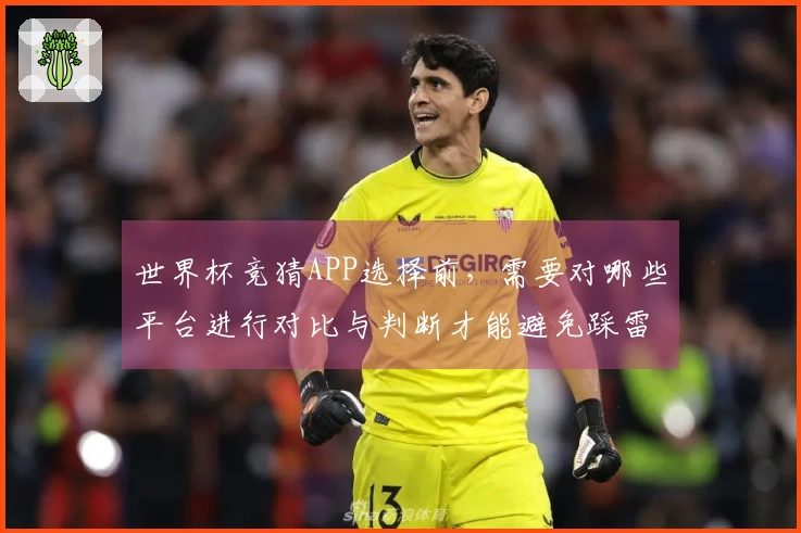 世界杯竞猜APP选择前，需要对哪些平台进行对比与判断才能避免踩雷？