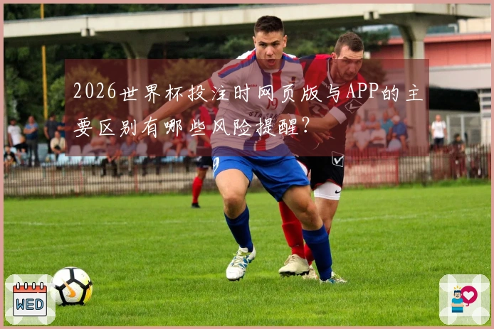 2026世界杯投注时网页版与APP的主要区别有哪些风险提醒？