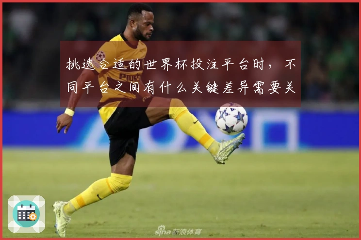 挑选合适的世界杯投注平台时，不同平台之间有什么关键差异需要关注？