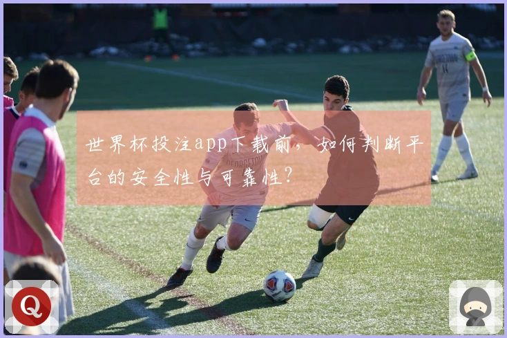 世界杯投注app下载前，如何判断平台的安全性与可靠性？