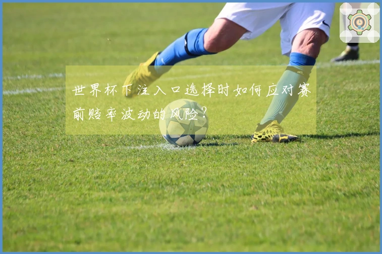 世界杯下注入口选择时如何应对赛前赔率波动的风险？