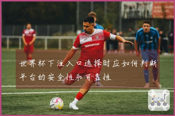 世界杯下注入口选择时应如何判断平台的安全性和可靠性