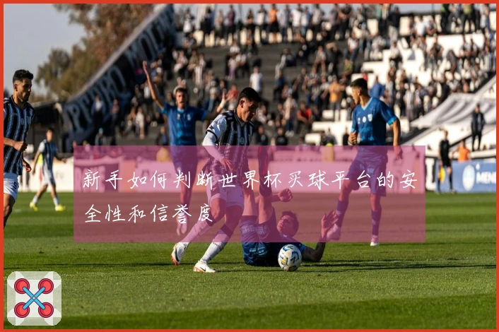 新手如何判断世界杯买球平台的安全性和信誉度