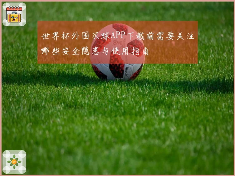 世界杯外围买球APP下载前需要关注哪些安全隐患与使用指南