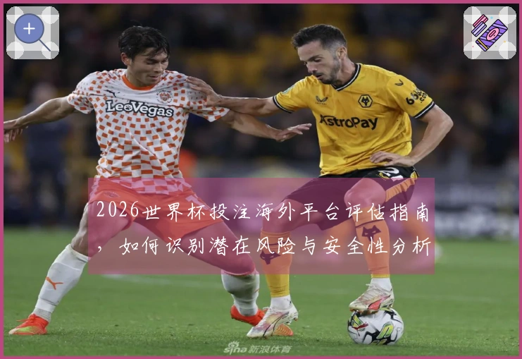 2026世界杯投注海外平台评估指南，如何识别潜在风险与安全性分析