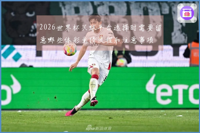 2026世界杯买球平台选择时需要留意哪些体彩竞猜流程和注意事项