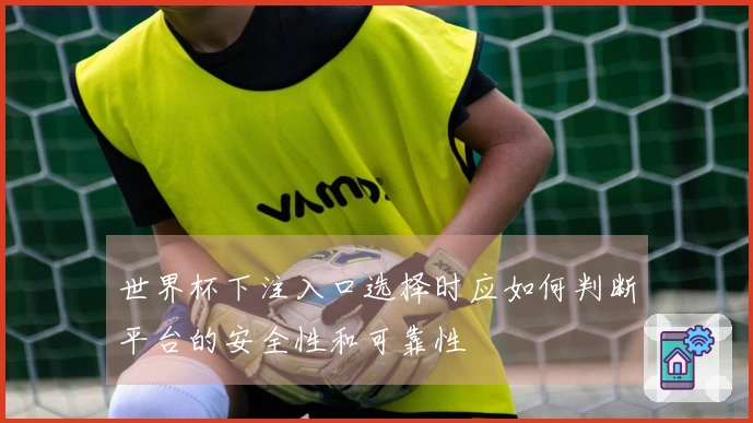 世界杯下注入口选择时应如何判断平台的安全性和可靠性