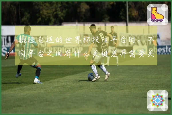 挑选合适的世界杯投注平台时，不同平台之间有什么关键差异需要关注？
