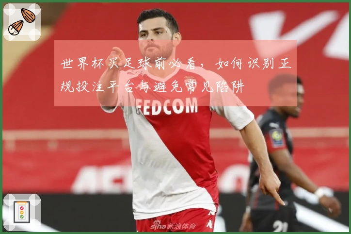 世界杯买足球前必看，如何识别正规投注平台与避免常见陷阱