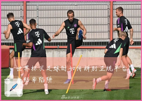 世界杯买足球时如何辨别正规平台与赔率陷阱
