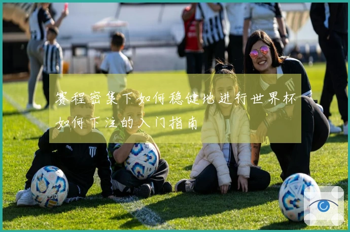 赛程密集下如何稳健地进行世界杯如何下注的入门指南