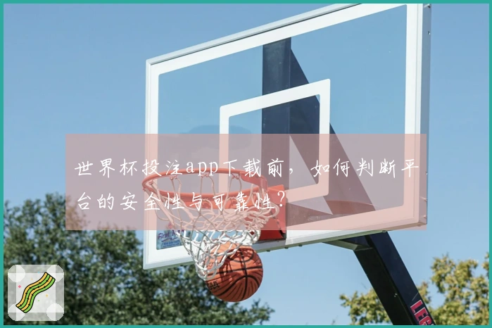 世界杯投注app下载前，如何判断平台的安全性与可靠性？