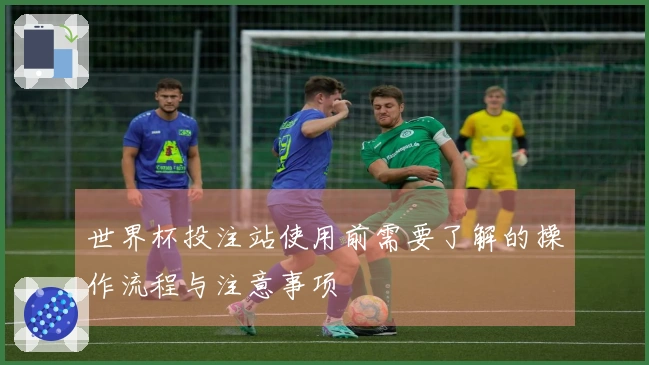 世界杯投注站使用前需要了解的操作流程与注意事项