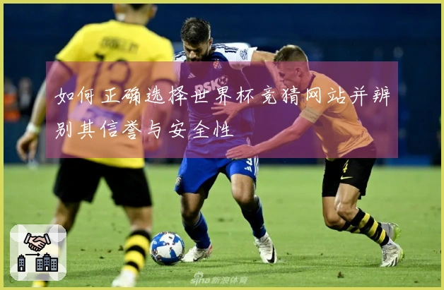 如何正确选择世界杯竞猜网站并辨别其信誉与安全性