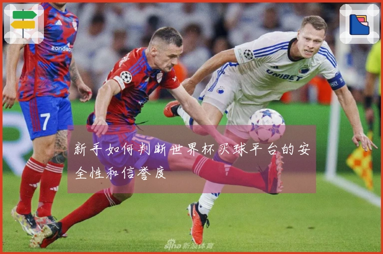 新手如何判断世界杯买球平台的安全性和信誉度
