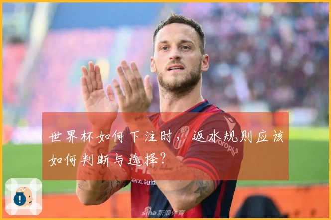 世界杯如何下注时，返水规则应该如何判断与选择？