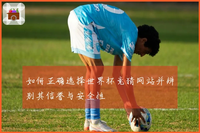 如何正确选择世界杯竞猜网站并辨别其信誉与安全性