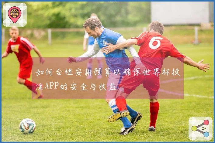 如何合理安排预算以确保世界杯投注APP的安全与收益