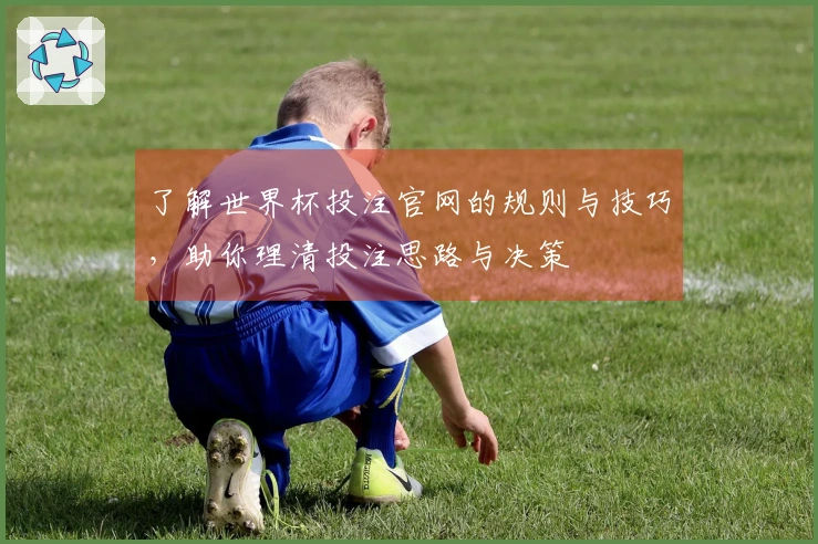 了解世界杯投注官网的规则与技巧，助你理清投注思路与决策