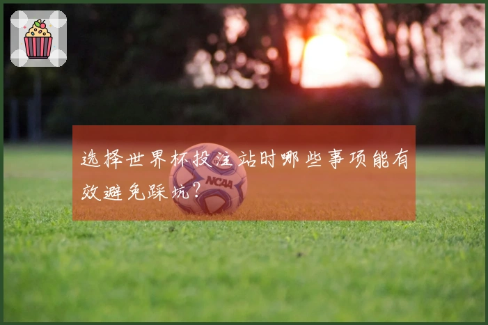 选择世界杯投注站时哪些事项能有效避免踩坑？