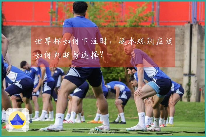 世界杯如何下注时，返水规则应该如何判断与选择？