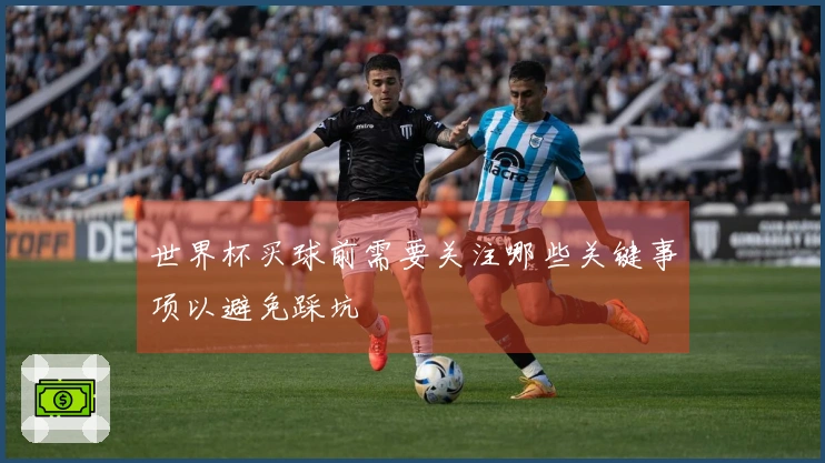 世界杯买球前需要关注哪些关键事项以避免踩坑
