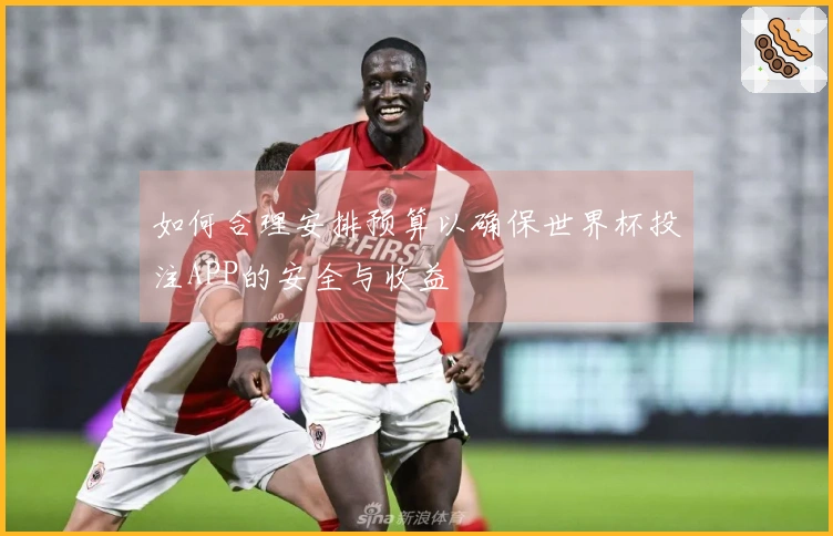 如何合理安排预算以确保世界杯投注APP的安全与收益