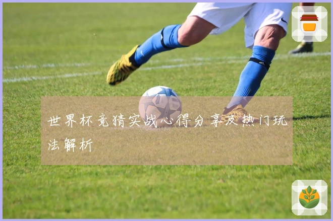 世界杯竞猜实战心得分享及热门玩法解析